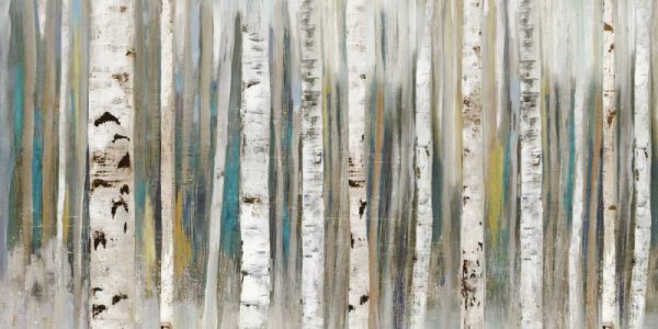 Birch Forest