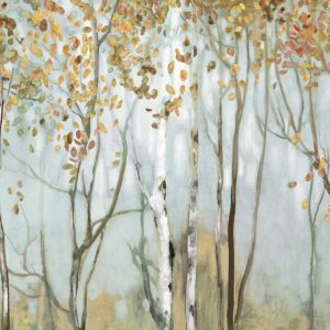 Birch in the fog II