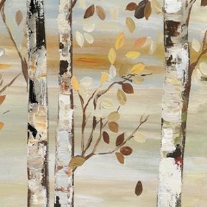 Dark Birch I