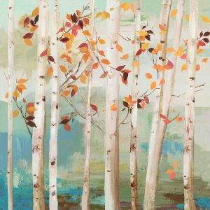 Fall Birch Trees