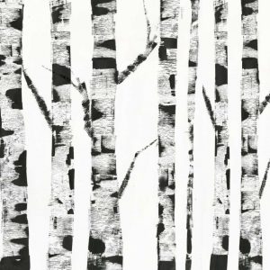 White Birch