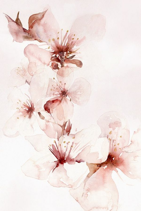 Watercolor Blossoms II