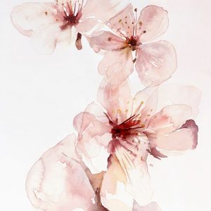 Watercolor Blossoms III