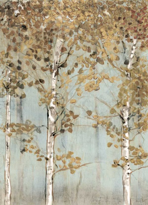 Soft Birch