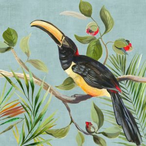 Paradise Toucan II