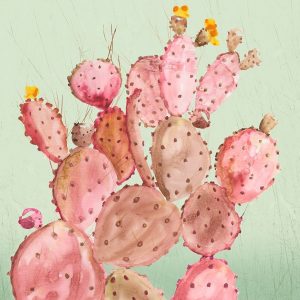 Pink Cacti