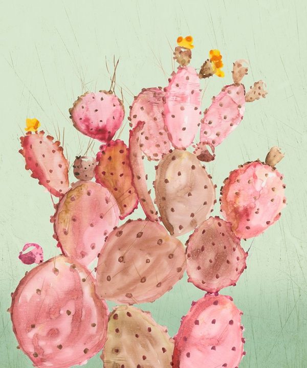 Pink Cacti