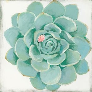 Pastel Succulent I