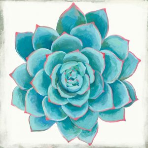 Pastel Succulent II