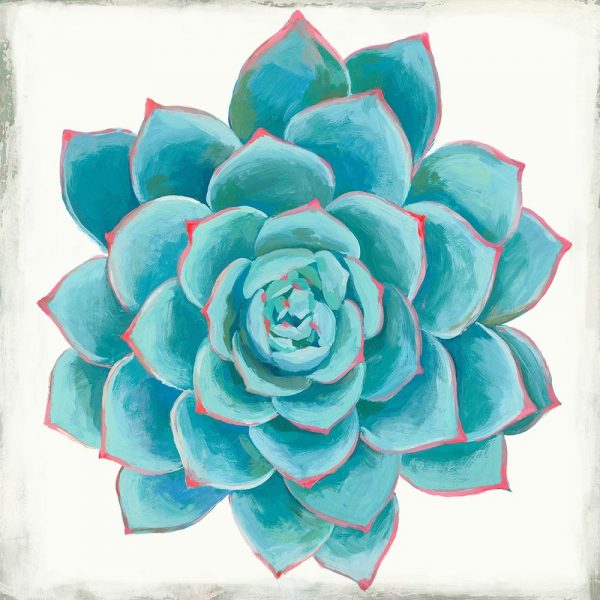 Pastel Succulent II