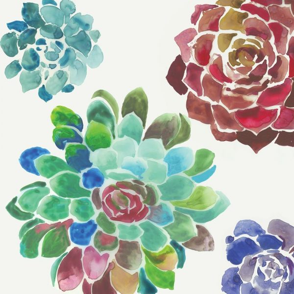 Water Succulents I