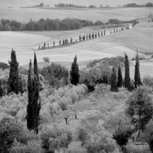 Tuscany - 6