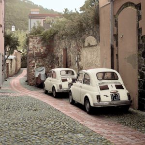 Fiat 500s