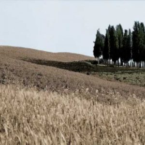 Val dÃ¢â‚¬â„¢Orcia Pano - 3