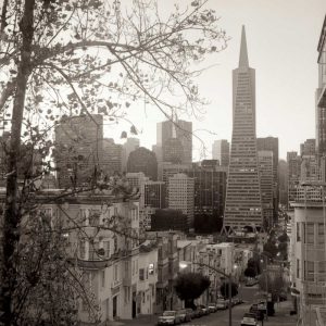 SF Skyline - 3