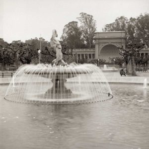 Golden Gate Park - 6