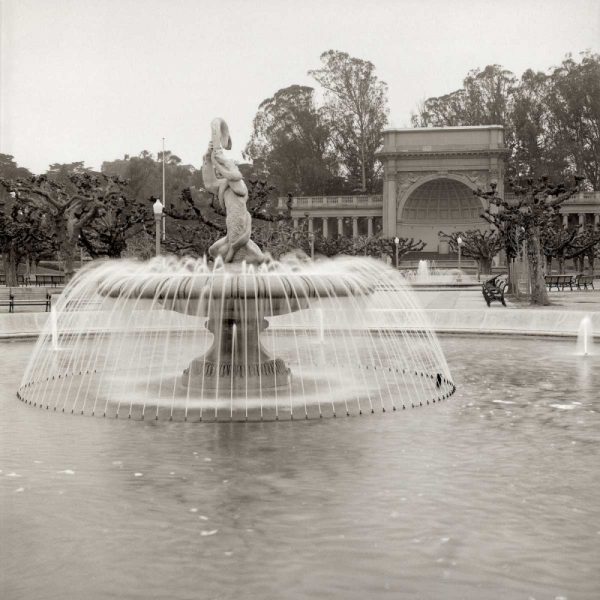 Golden Gate Park - 6