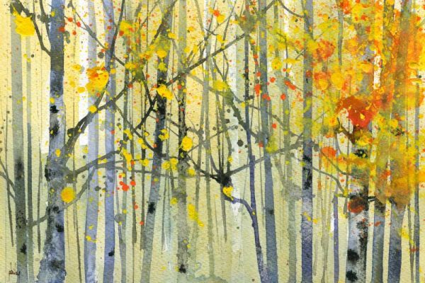 Autumn Birches