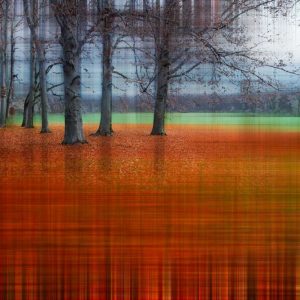 Abstract Autumn