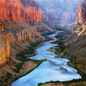 Mile 52 Colorado River