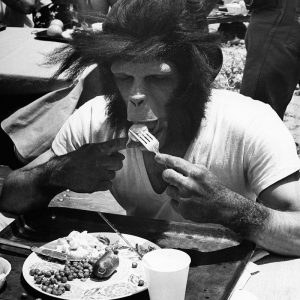 Even Apes Need a Break