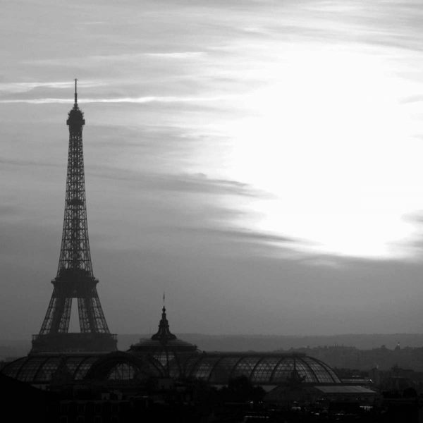 Eiffel Tower View