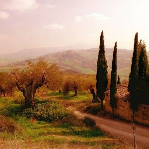 Toscana, Italia No. 709