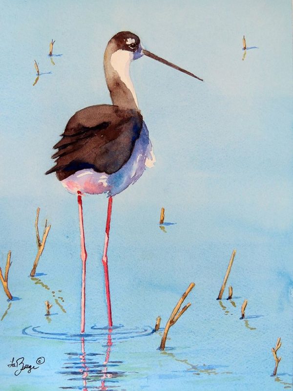 Black Neck Stilt III