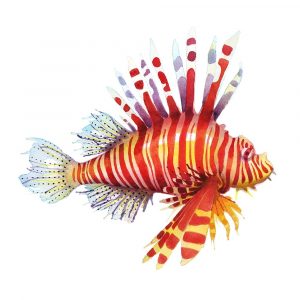 Firefish