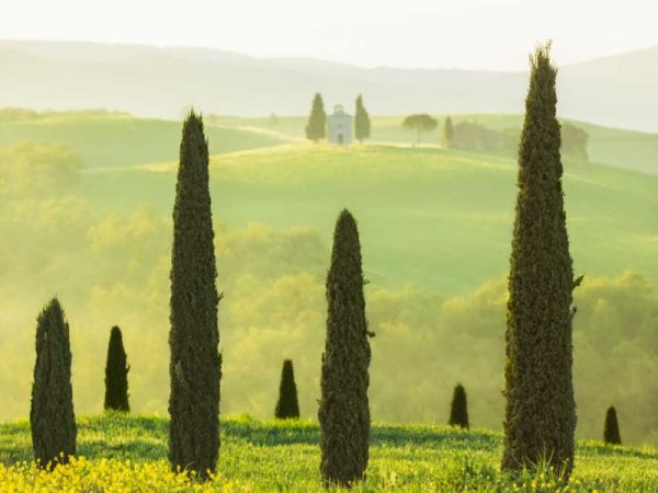 Tuscan Temple