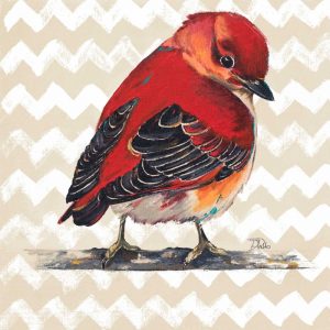 Chevron Baby Red Bird I