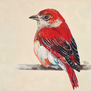 Baby Red Bird II