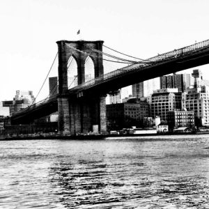 Bridge of Brooklyn BW II