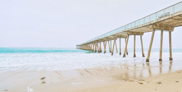 Beach Pier View