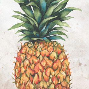 Tropic Pineapple