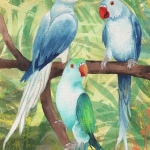 Tropical Birds I