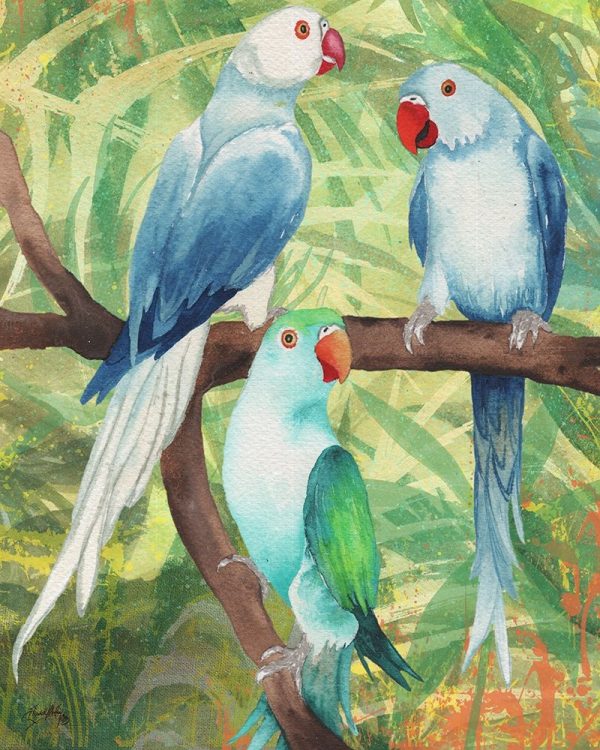 Tropical Birds I