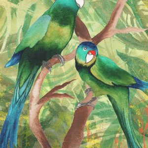 Tropical Birds II