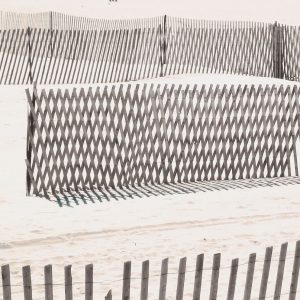 Beach Fence