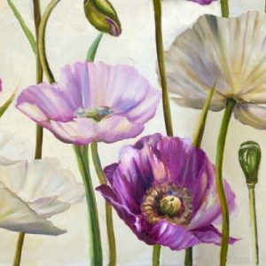 Poppies in Spring I