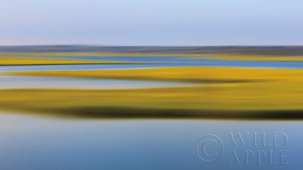 Evening Marsh