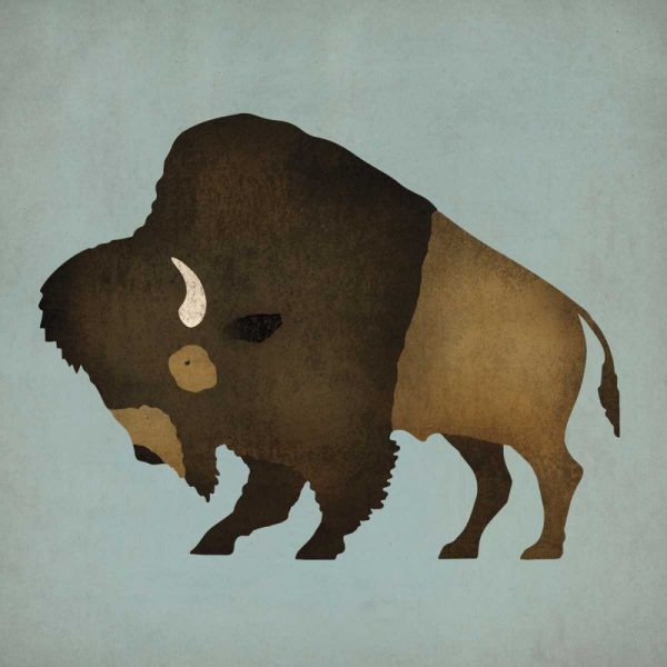 Buffalo Bison II