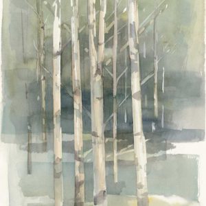 Birch Grove I