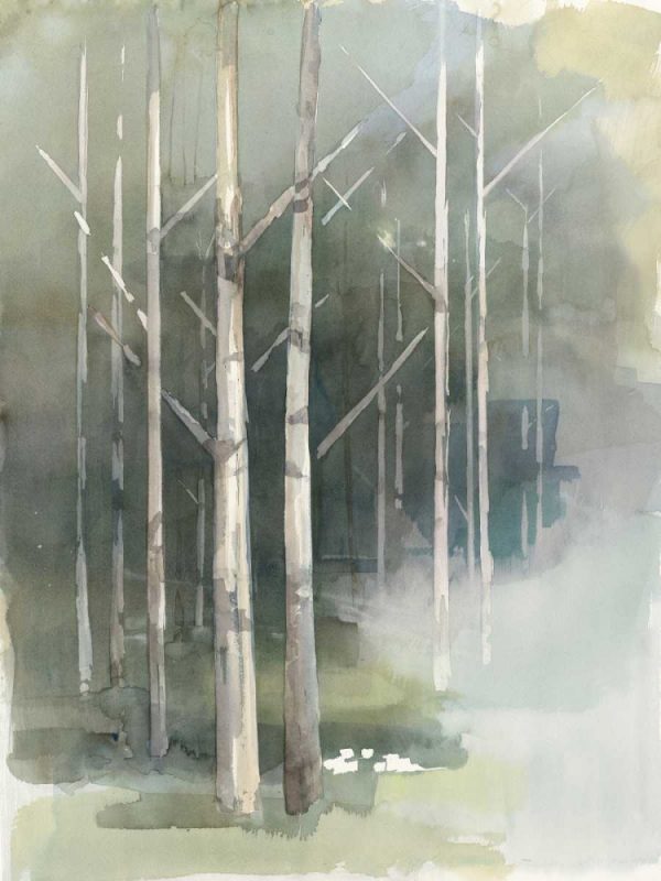 Birch Grove II