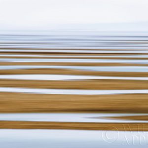 Sand Flats in Fog