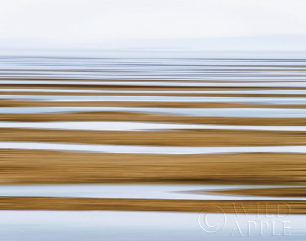 Sand Flats in Fog