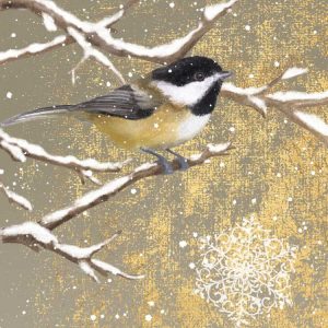 Winter Birds Chickadee Color