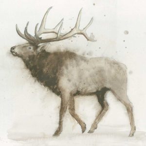 Elk v.2