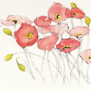 Black Line Poppies I Watercolor