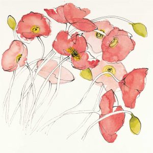 Black Line Poppies II Watercolor